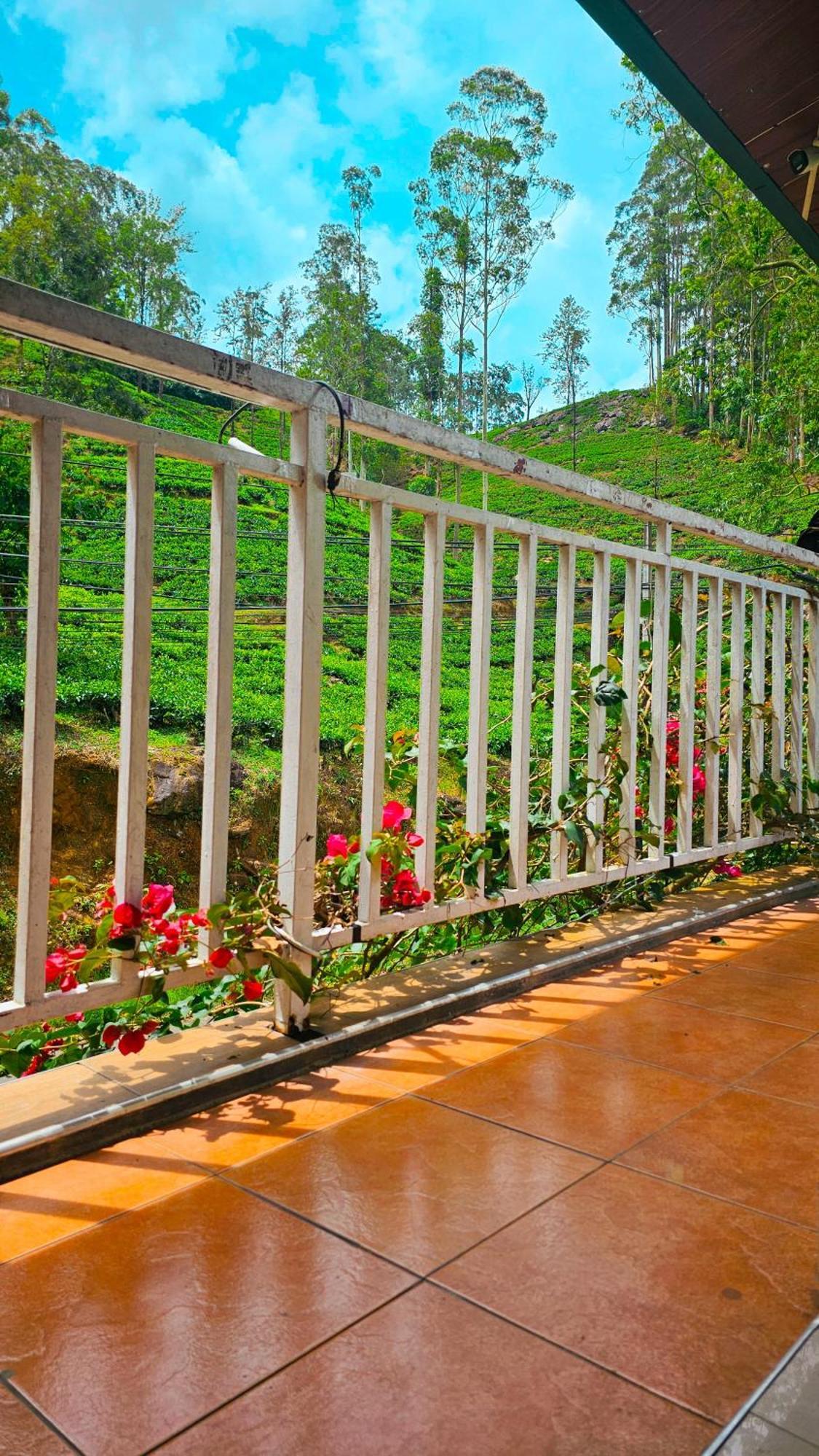Adams Peak Grand Hotel Nallathanniya Buitenkant foto